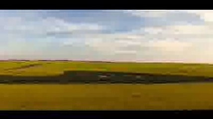 the night is short walk on girl watch online