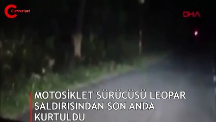 Bir anda atladı, leopar saldırısı kamerada!