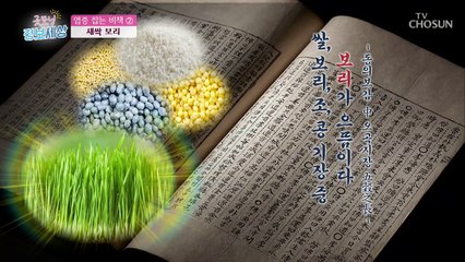 새싹채소에 100배 多?! 염증 배출 甲 '새싹보리'