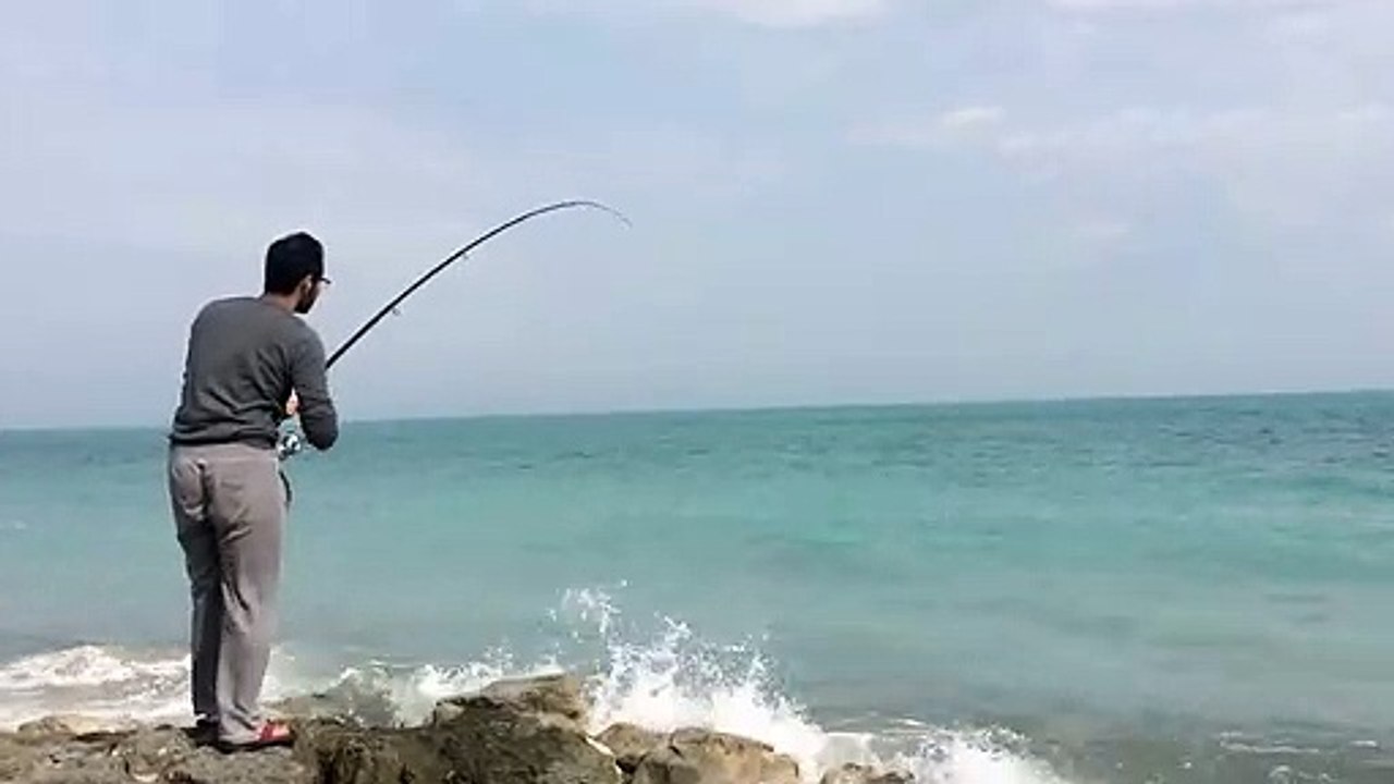 حداق رحيمة - راس تنورة - سمك الصافي