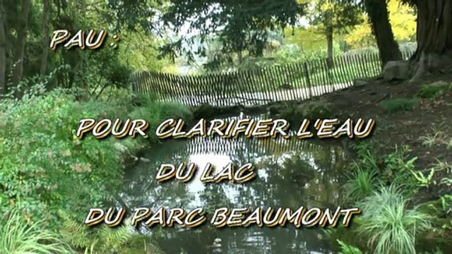 UNE IDÉE DE MICHOU W-D.D. - 11 NOVEMBRE 2019 - PAU - POUR CLARIFIER L'EAU DU LAC DU PARC BEAUMONT.
