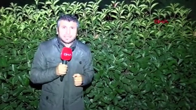 İstanbul'da mezarlıkta tecavüz dehşeti ! Kadının çığlıklarına koştular