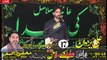 Zakir Ali Yazdan Hafizabad 17th Muharam 1441 2019 Choti Behak Hafizabad