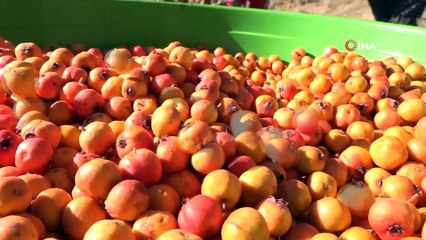 Köyün kadınları birlik oldu...Kurdukları imalathanede ürettikleri ürünleri satmayı başardı