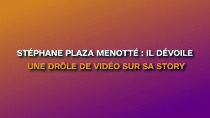 Stéphane Plaza : un gendarme débarque et le menotte