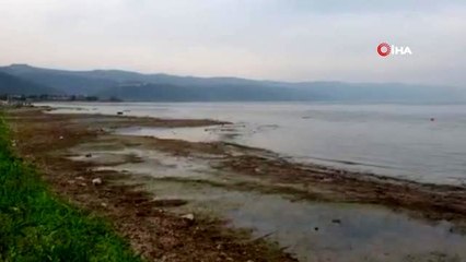 Kuraklık sebebiyle İznik gölünde adacıklar oluştu
