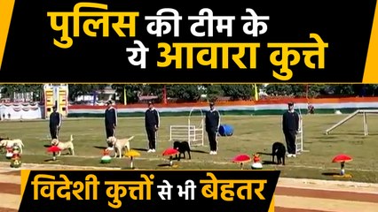 Uttrakhand Police की शान बने आवारा Dog,विदेशी नहीं अब देसी कुत्ते अपनी टीम में शामिल करे | वनइंडिया