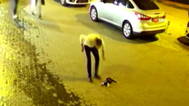 Boğulmak üzere olan kedi hayatını kurtaran genci böyle tırmaladı