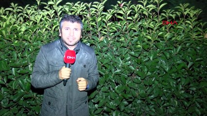 İstanbul'un göbeğinde dehşet veren olay!