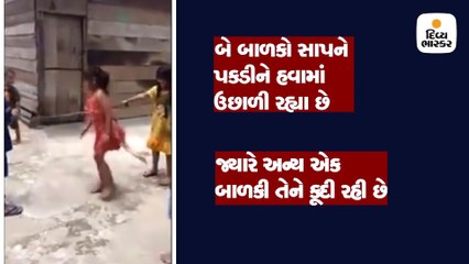 મરેલા સાપને દોરડું બનાવી બાળકોએ કુદકા માર્યા, વાઇરલ થયો વીડિયો