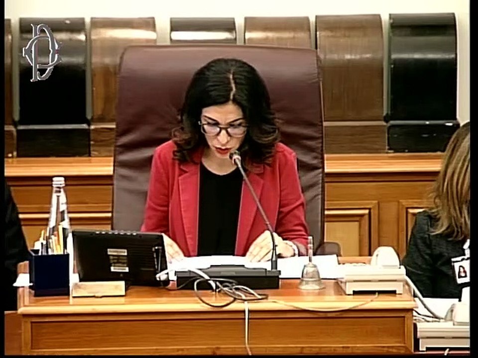 Roma - Seguito audizione Speranza su linee programmatiche (20.11.19)