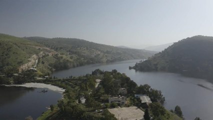 تحديات تواجه تنمية أراضي الغمر زراعيا بعد عودتها للسيادة الأردنية