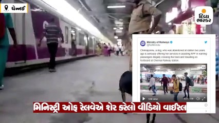 મુસાફરોની સામે ભસીને રેલવે ટ્રેક પાર કરતાં રોકે છે શ્વાન