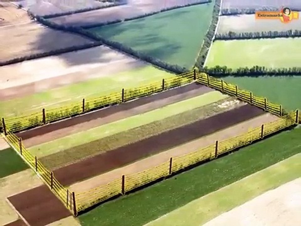 How to Measure Perimeter Videos for Mathematics Class 6 at Extramarks