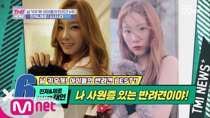 [23회] 강아지 최초 SM 사원증 GET! '진저&제로♥소녀시대 태연'