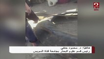 د. محمود حنفي رئيس قسم علوم البحار يوضح خطورة صيد القرش الحوتي 