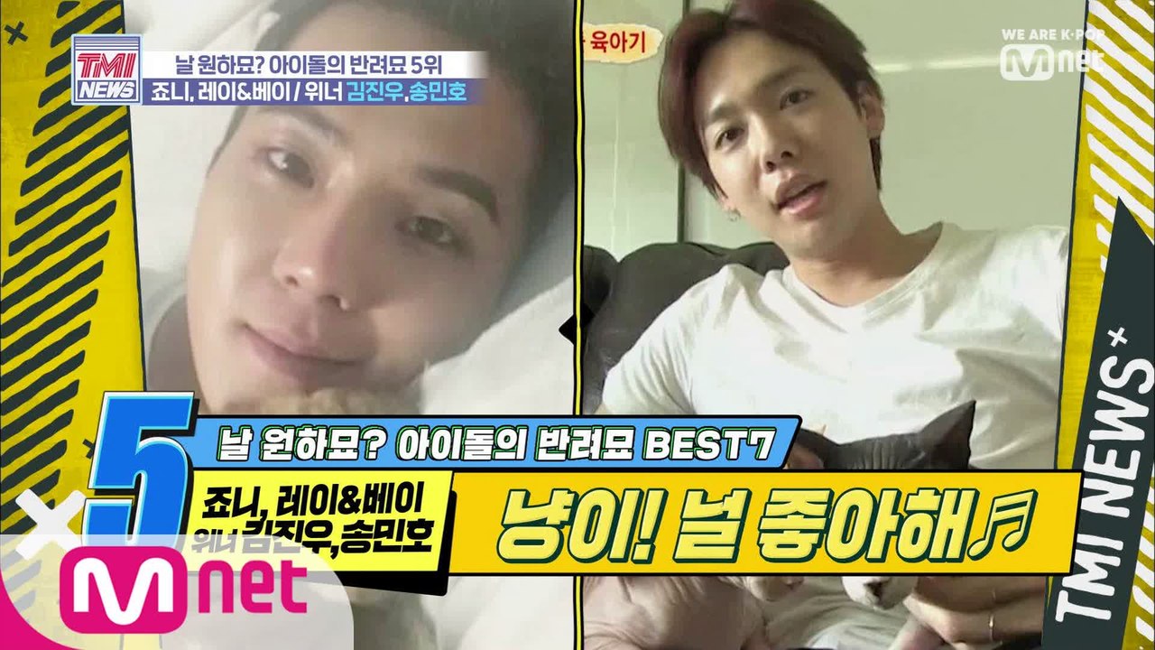 [23회] 사람보다 고양이가 많은 숙소 '죠니,레이&베이♥위너 송민호,김진우'
