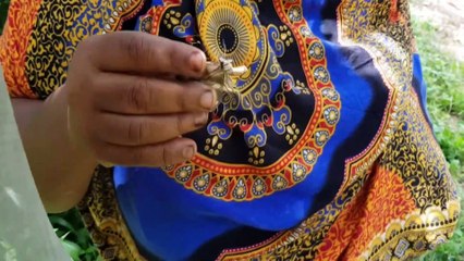 Kelebek yetiştirerek hem doğaya hem ailelerine sahip çıkıyorlar - MOMBASA