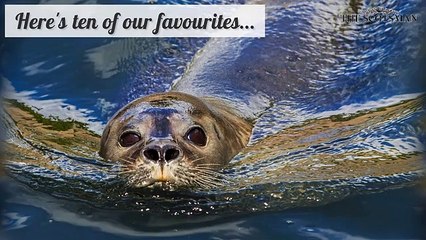 Scotland - 10 coastal getaways