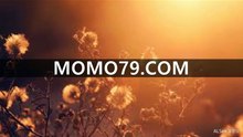 사설안전공원ლლ MOmO79.CoM ლლ가입시꽁머니사이트ლლ사설안전공원