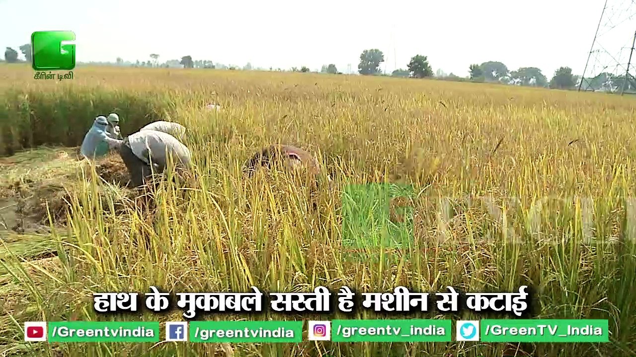 Kisan या उसकी पराली कौन है जिम्मेदार Delhi की प्रदुषण के लिए | Pollution में Parali का योगदान ?
