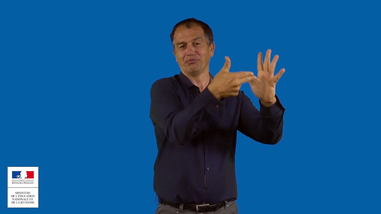 LSF ressources cycle 3 : produire (4/12)