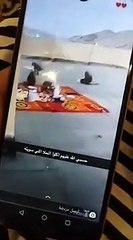 شاهد.. قرود تهاجم مدرسة فى السعودية وتسرق طعام المعلمات