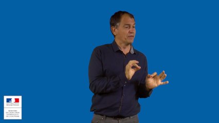 LSF ressources cycle 4 : expression et production (1/9)