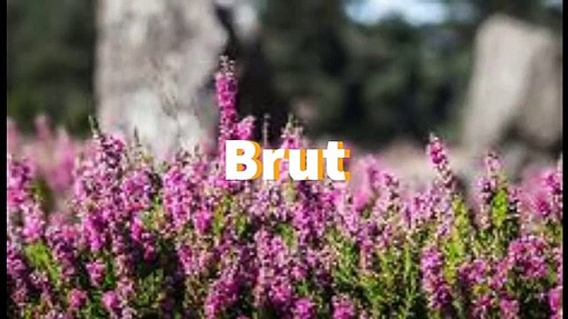 Pentecôte autour du Golfe du Morbihan 2020