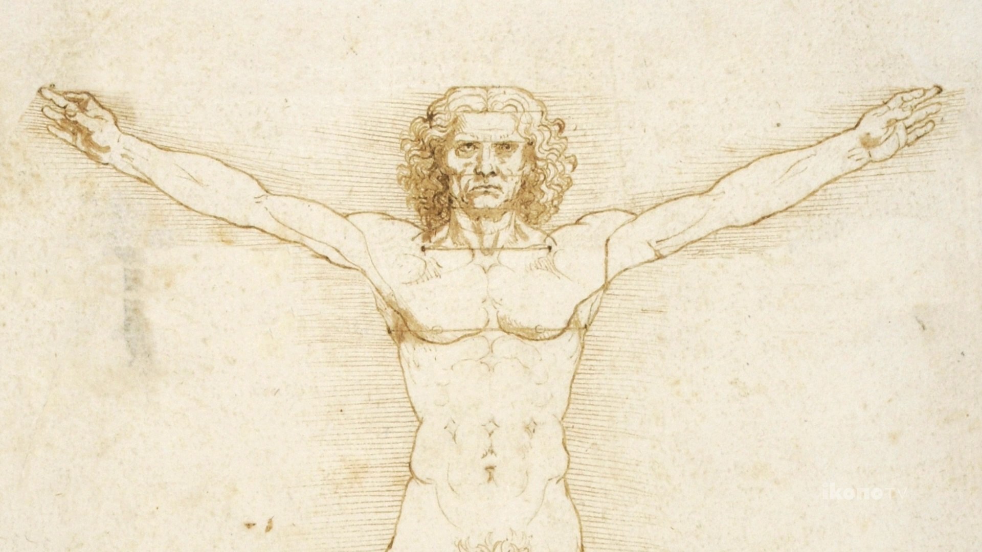⁣Leonardo da Vinci, Vetruvian Man