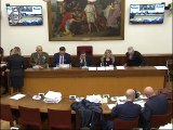 Roma - Modifiche al codice penale militare di pace, audizione di esperti (20.11.19)