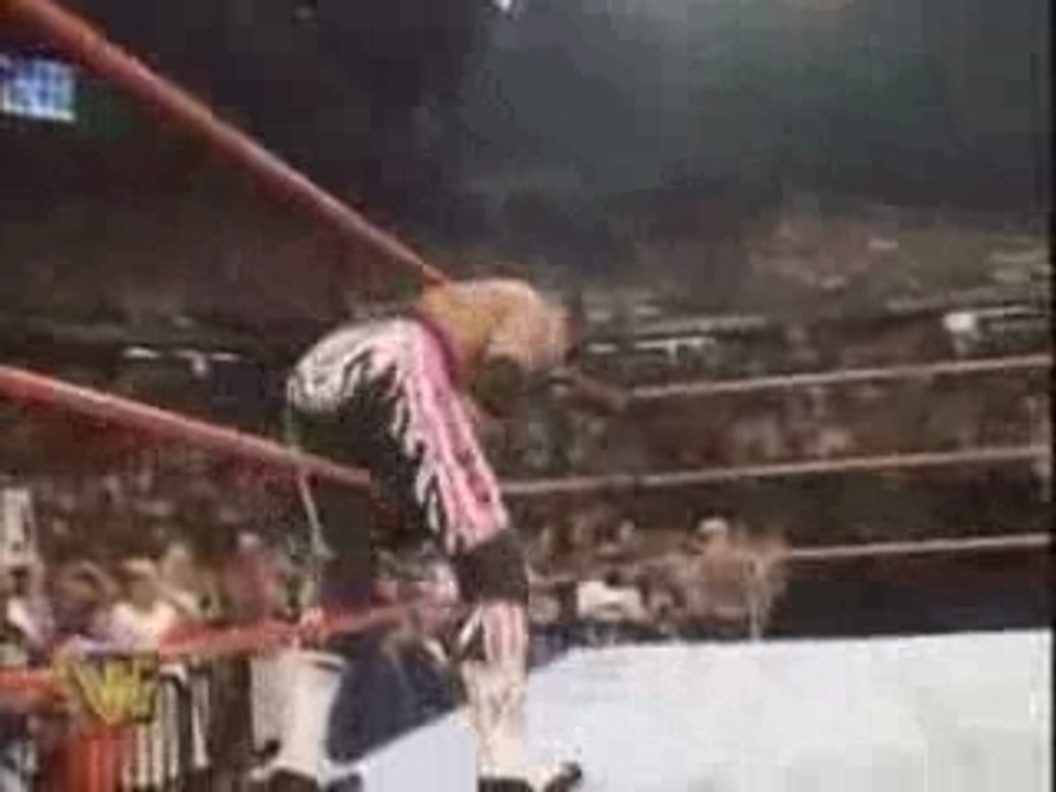 undertaker vs bret hart & guest ref shawn michaels 1