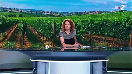 Taxes américaines sur les produits européens : une catastrophe pour les viticulteurs français