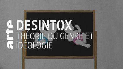 Théorie du genre et idéologie | 29/11/2019 | Désintox | ARTE