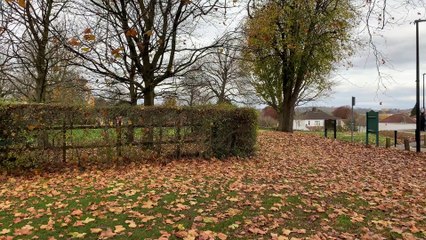 GOODLINES: 21st November 2019