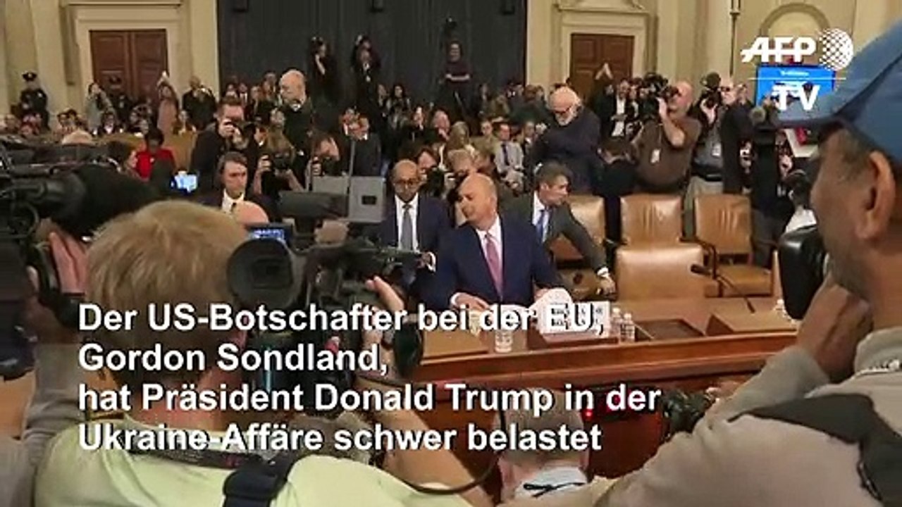Botschafter: trump machte hilfe für kiew von ermittlungen abhängig