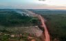 Deforestation in Brazil Is at Its Highest in 11 Years, Threatening 'the Lungs' of the Planet