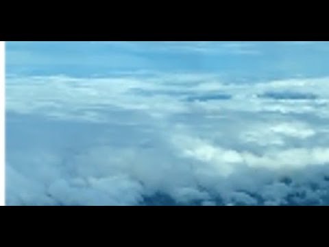 David Hallyday, Laura Smet, Paris évitée, surprenant faux-bond à Laeticia, de retour...