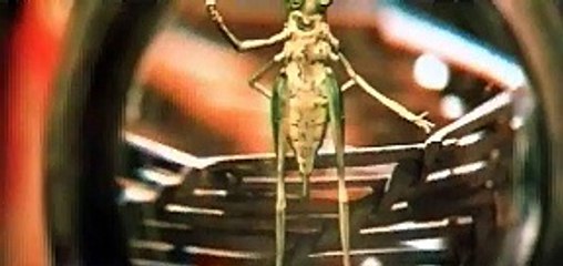 The Adventures of Pinocchio (1996) FMV game Part 4