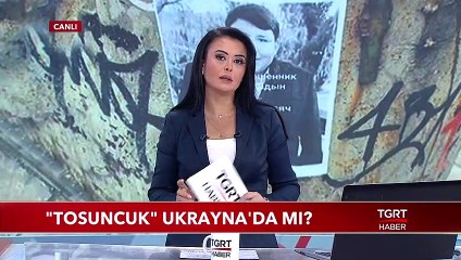 Tosuncuk Ukrayna’da Görüldü, Çiftlik Banka Mağdurlar Peşine Düştü
