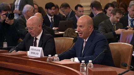 Embajador de EEUU en la UE compromete a Trump en caso ucraniano