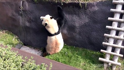 ザ 鉄腕 Dash Dailymotion Hd 7p高画質 の動画 Dailymotion