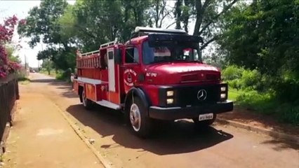 Após ataque de abelhas, bombeiros são chamados ao Interlagos