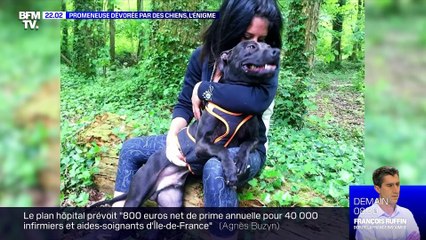 Promeneuse dévorée par des chiens, l'énigme