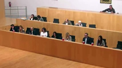 "Los socialistos y las socialistas"