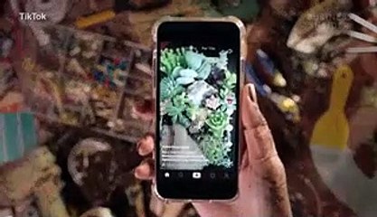 What's going on with TikTok?