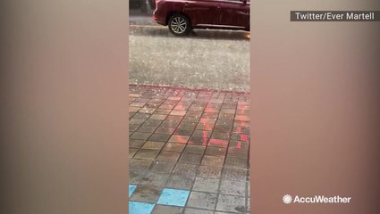 Downtown Los Angeles hit with pea-sized hail and torrential downpour