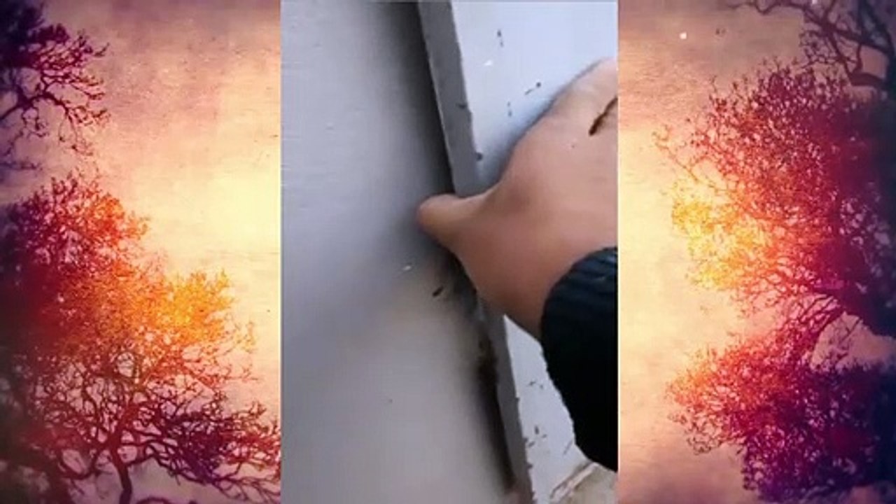 من أجل التغلب على الأبواب الحديدية