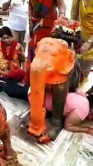 funny people Worshipping in temple - don't get stuck in the elephant!