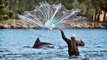 Wild Dolphins Work with Fishermen to Catch Fish in Brazil